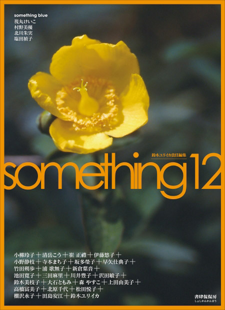 詩誌『something』12 鈴木ユリイカ責任編集 - ウインドウを閉じる